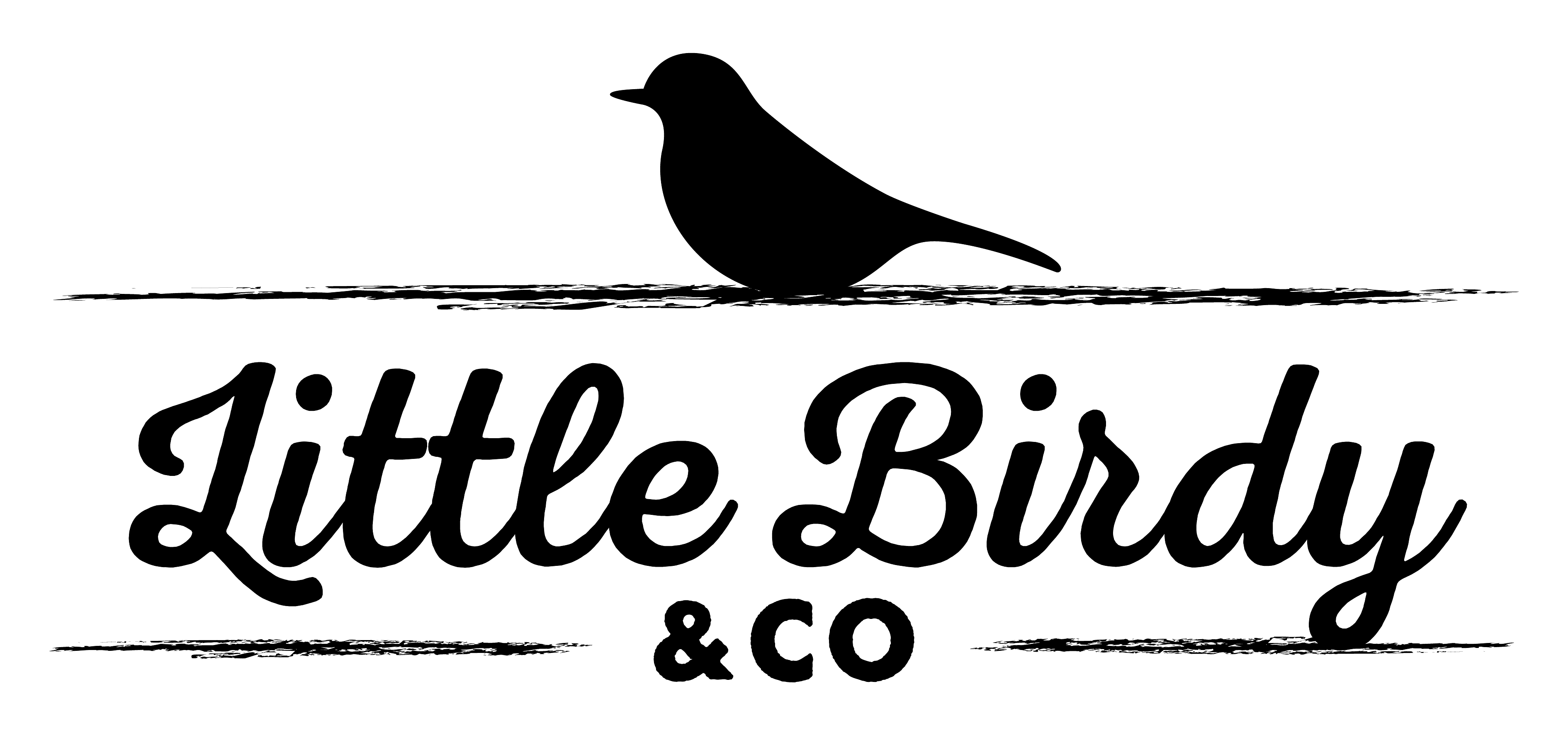 Logo for Little Birdy & Co