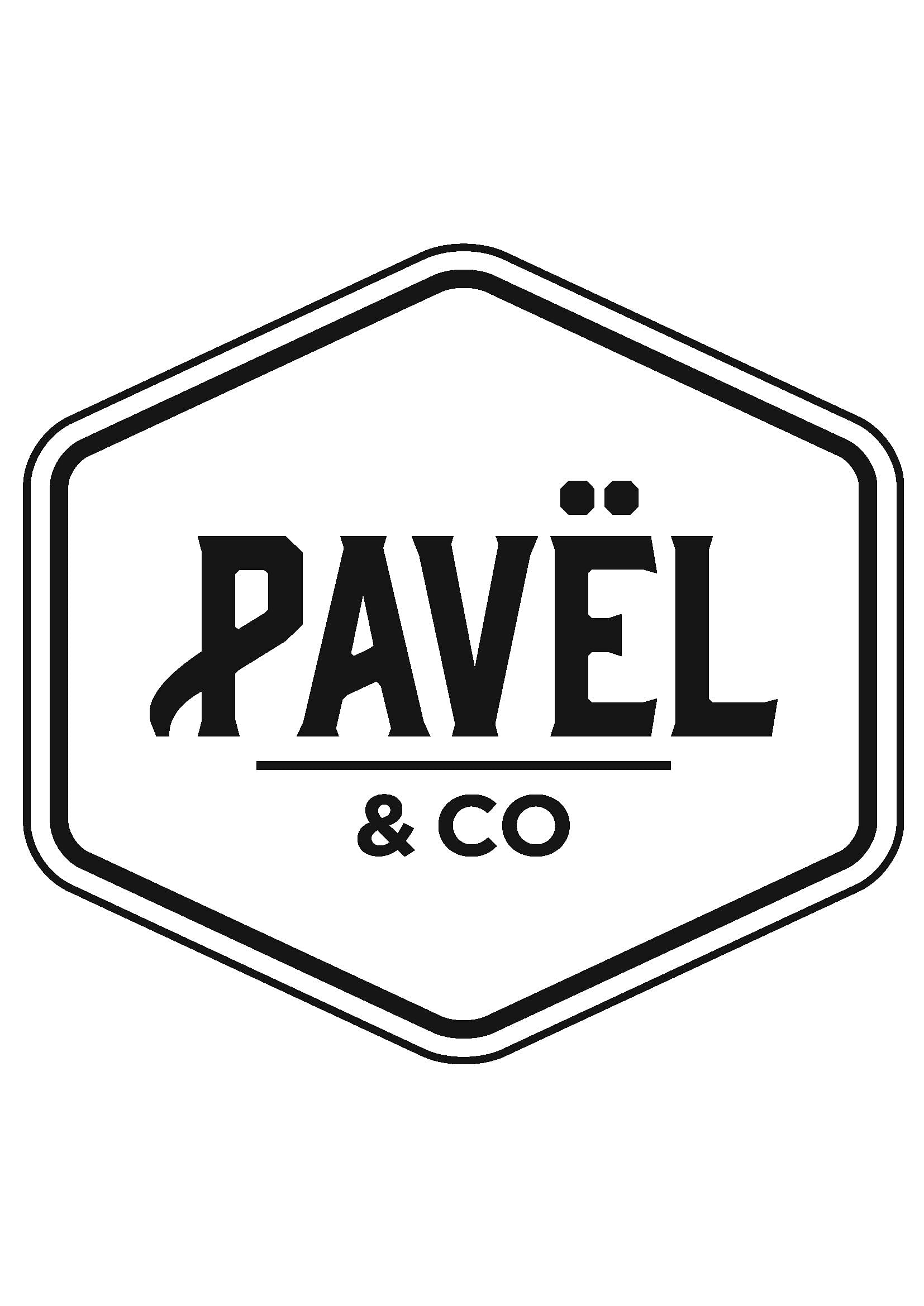 Logo for Pavel & Co