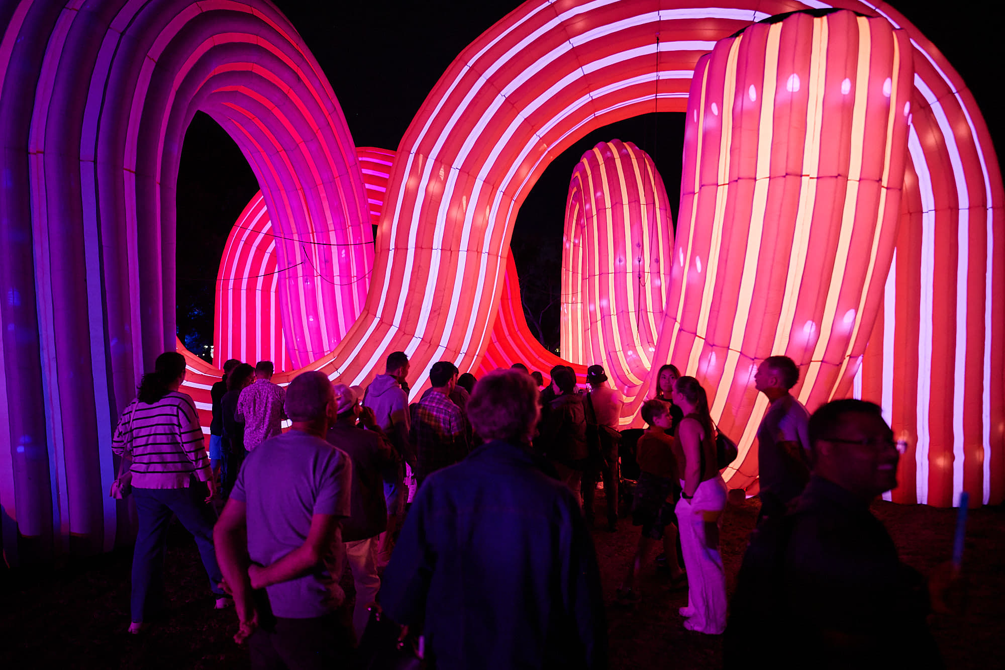 Enlighten Festival Catering