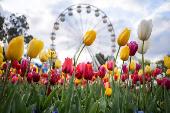 Floriade Catering