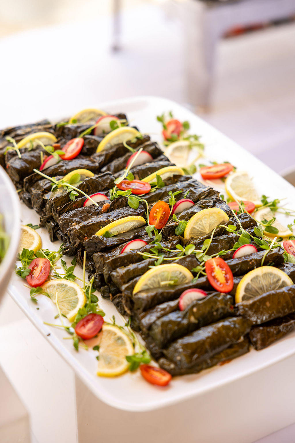 Vegetarian Vine Leaves