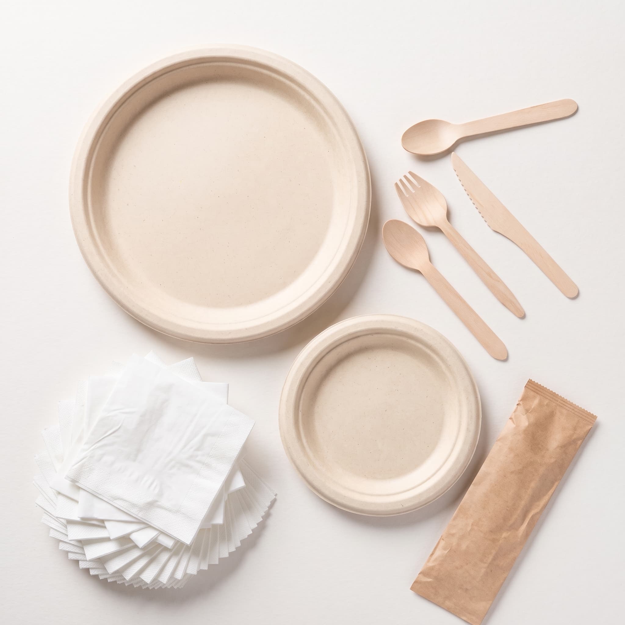Plate & Cutlery Set