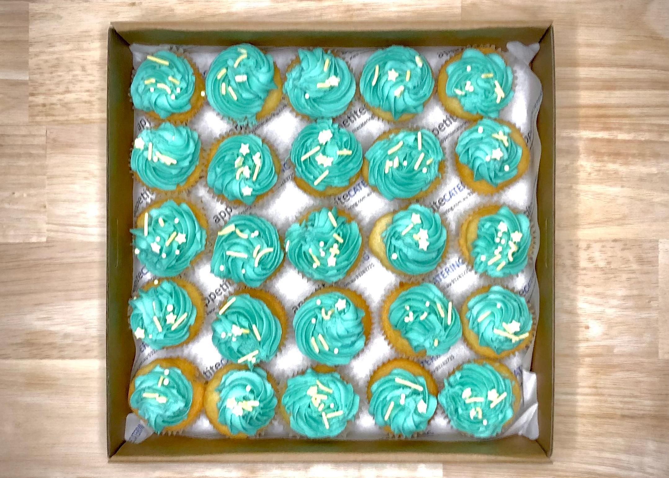 Vanilla Mini Cupcakes with Blue Icing