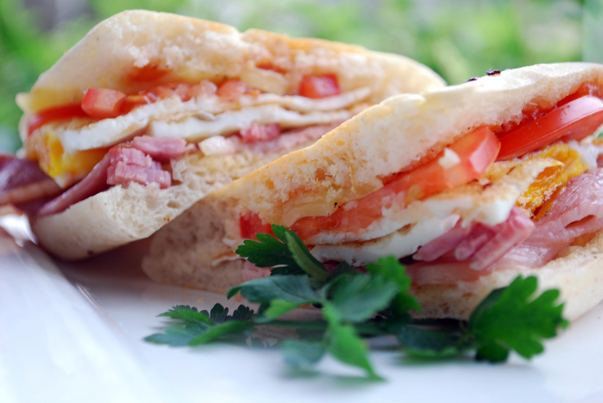 Breakfast Panini