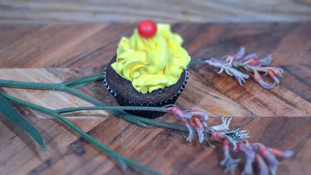 Cinnamon Chocolate Cupcakes