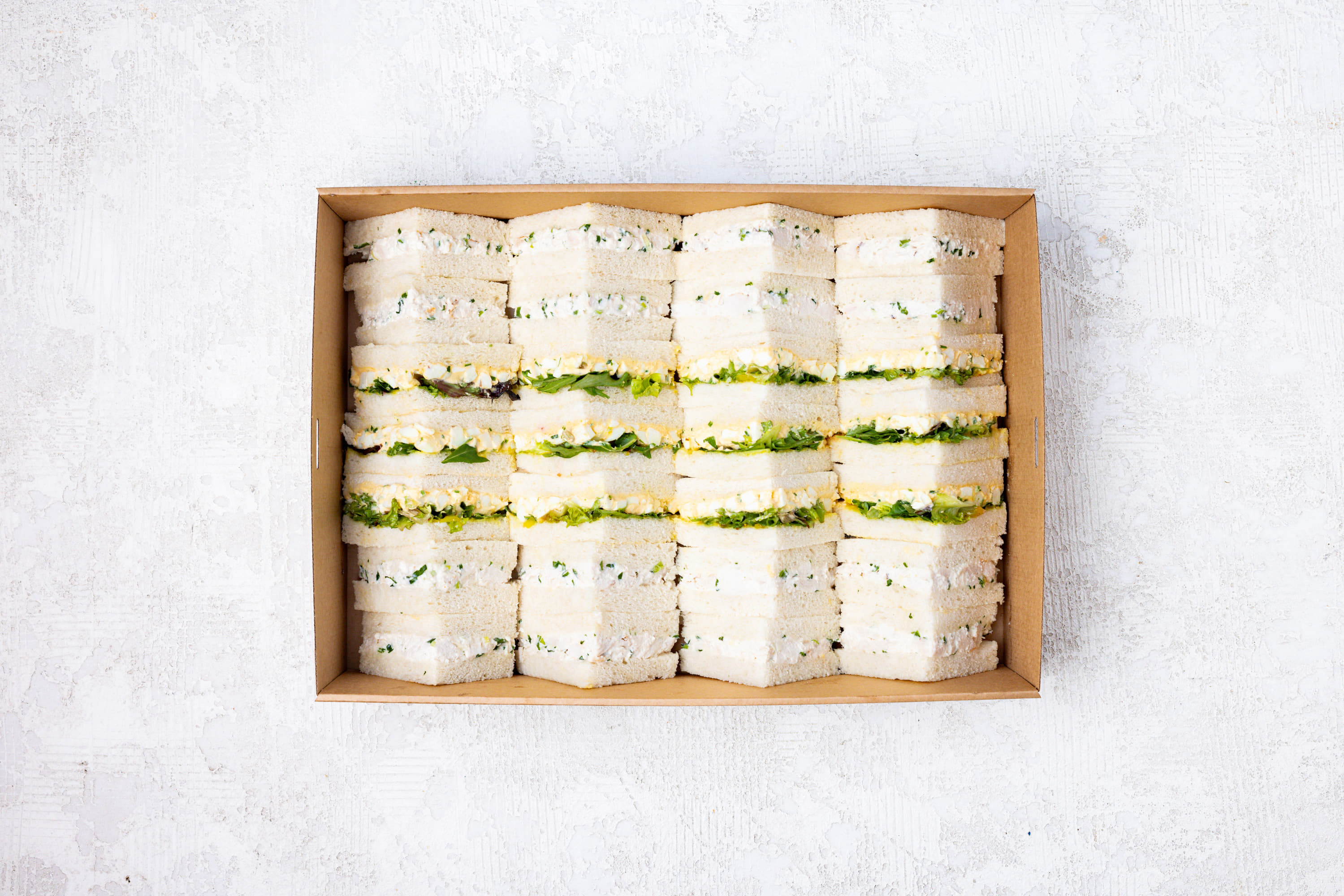 What Came First Sandwich Box