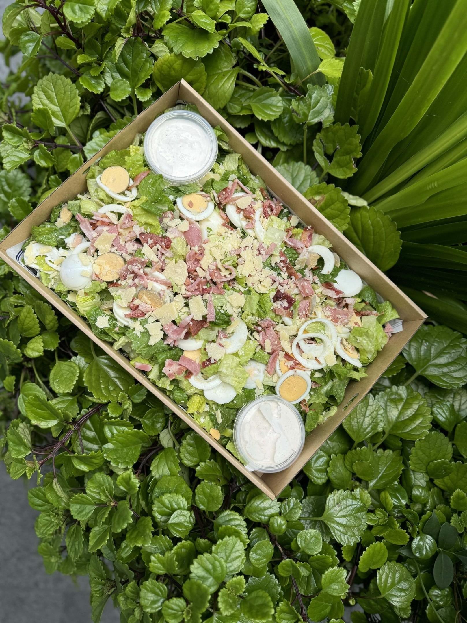Caesar Salad Platter