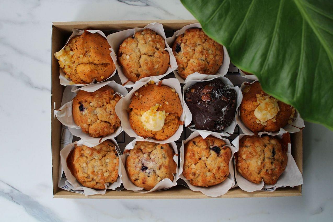 Large Muffin Box