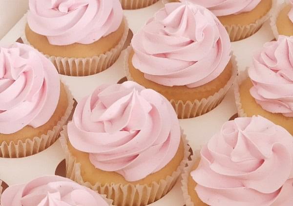 Pink Iced Cupcakes