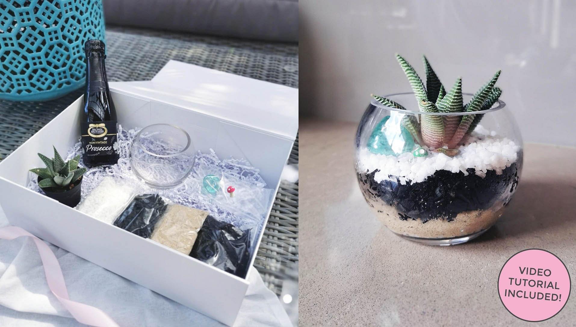 Succulent Terrarium Bowl - Craft Gift Box + Video Tutorial