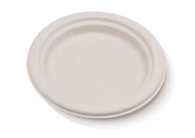 Disposable Plates (Cocktail size)