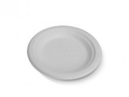 Disposable Plates (Dinner size)