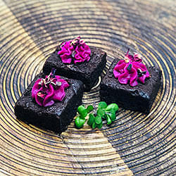 Beetroot and Cacao Slice