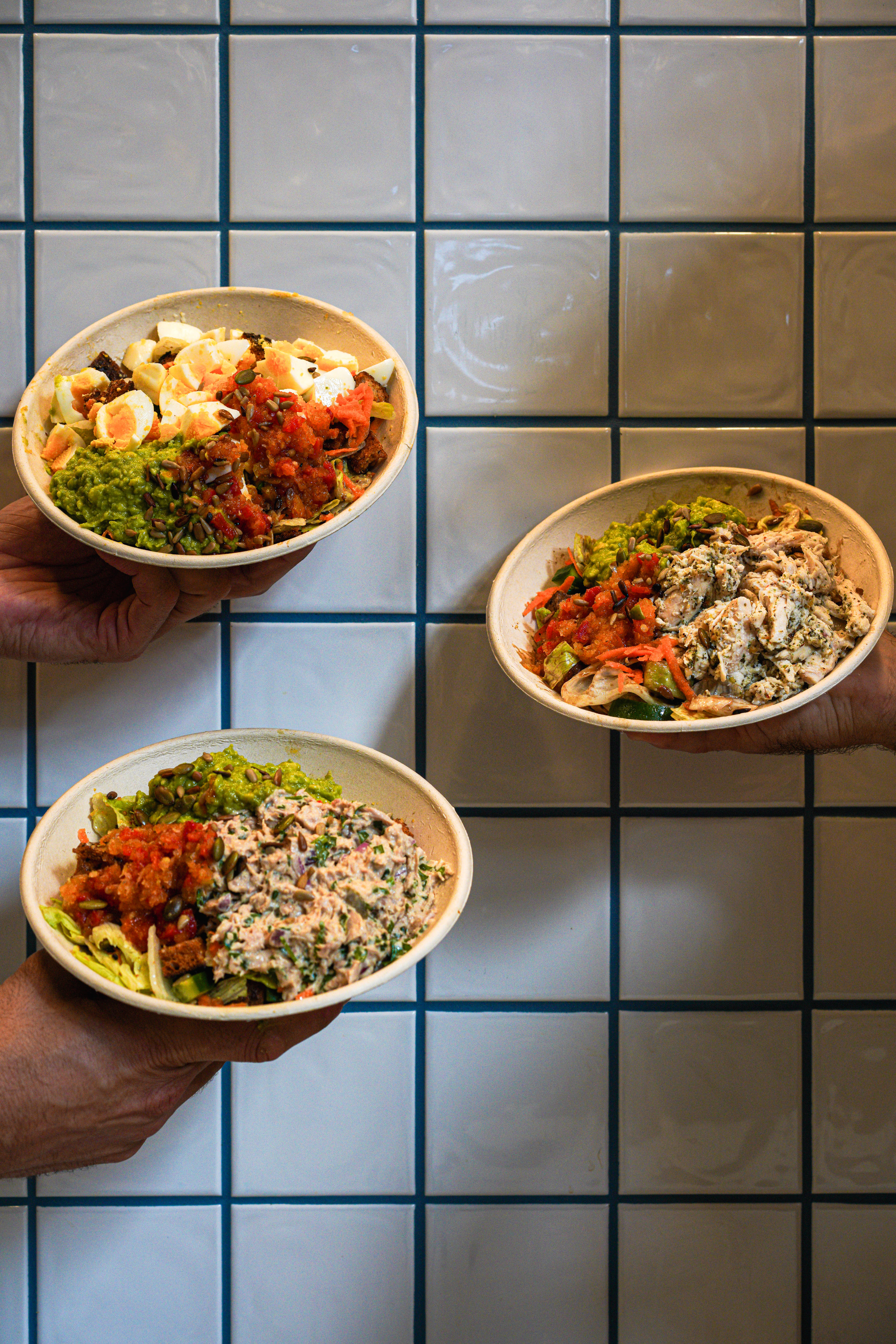 Salad Box Collection