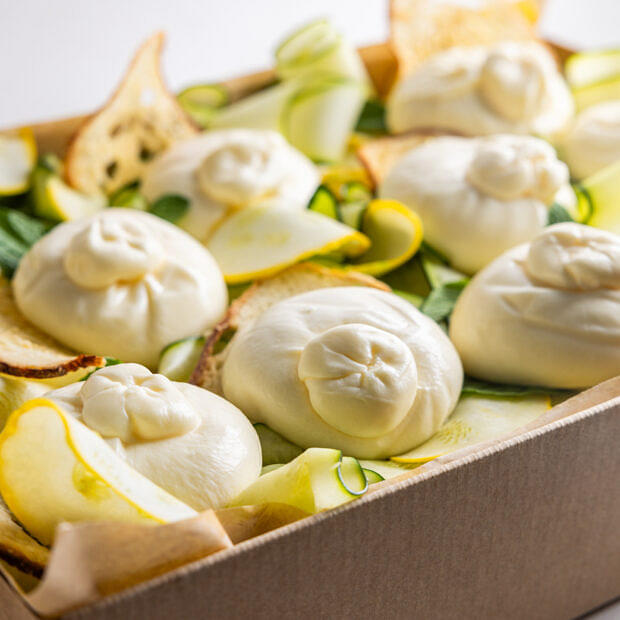 Burrata & Shaved Zucchini Salad + Aglio Olio Croutons