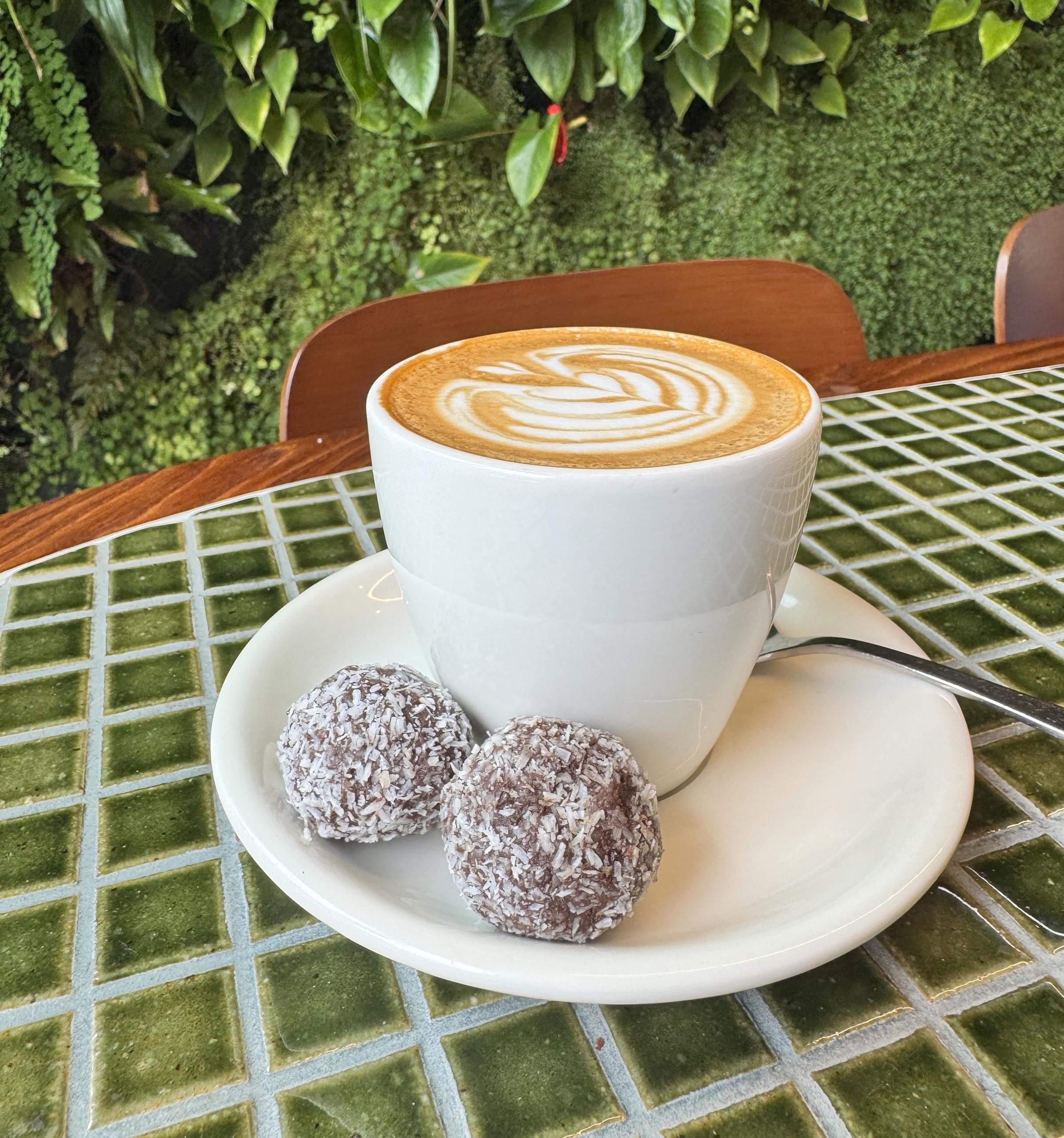 Chocolate Coconut Truffle