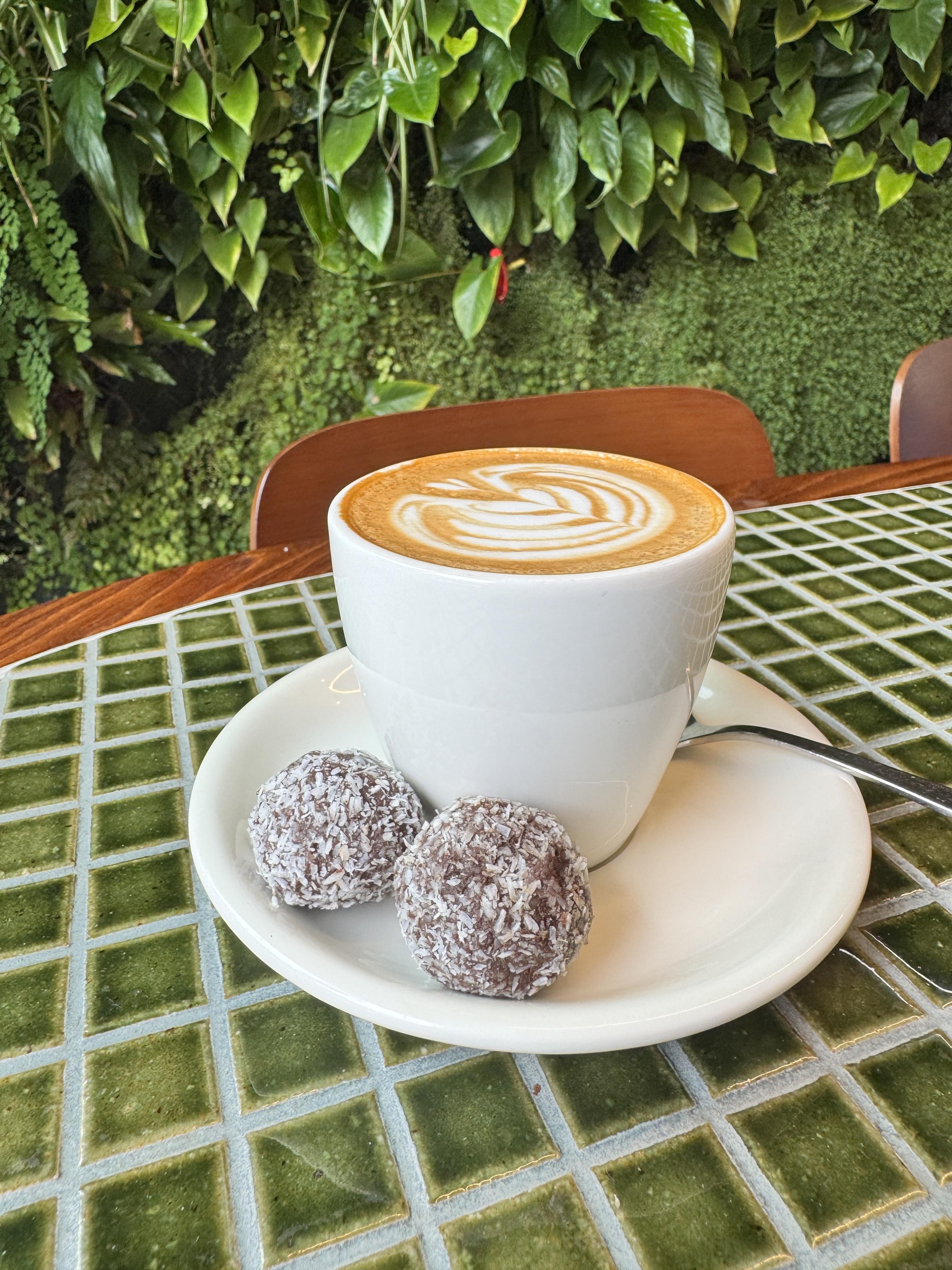 Chocolate Coconut Truffle