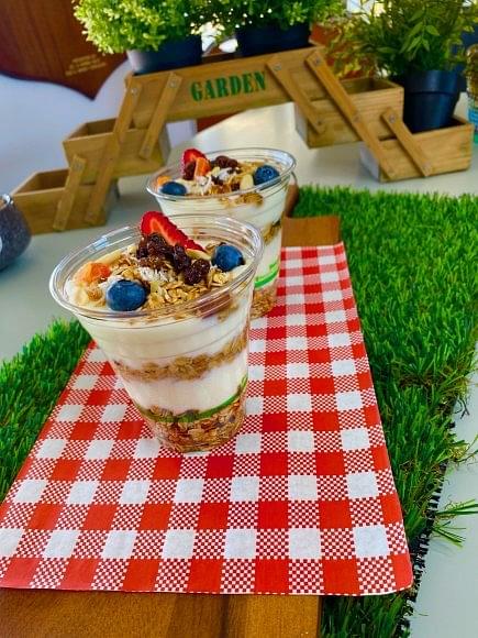 Yoghurt Cup