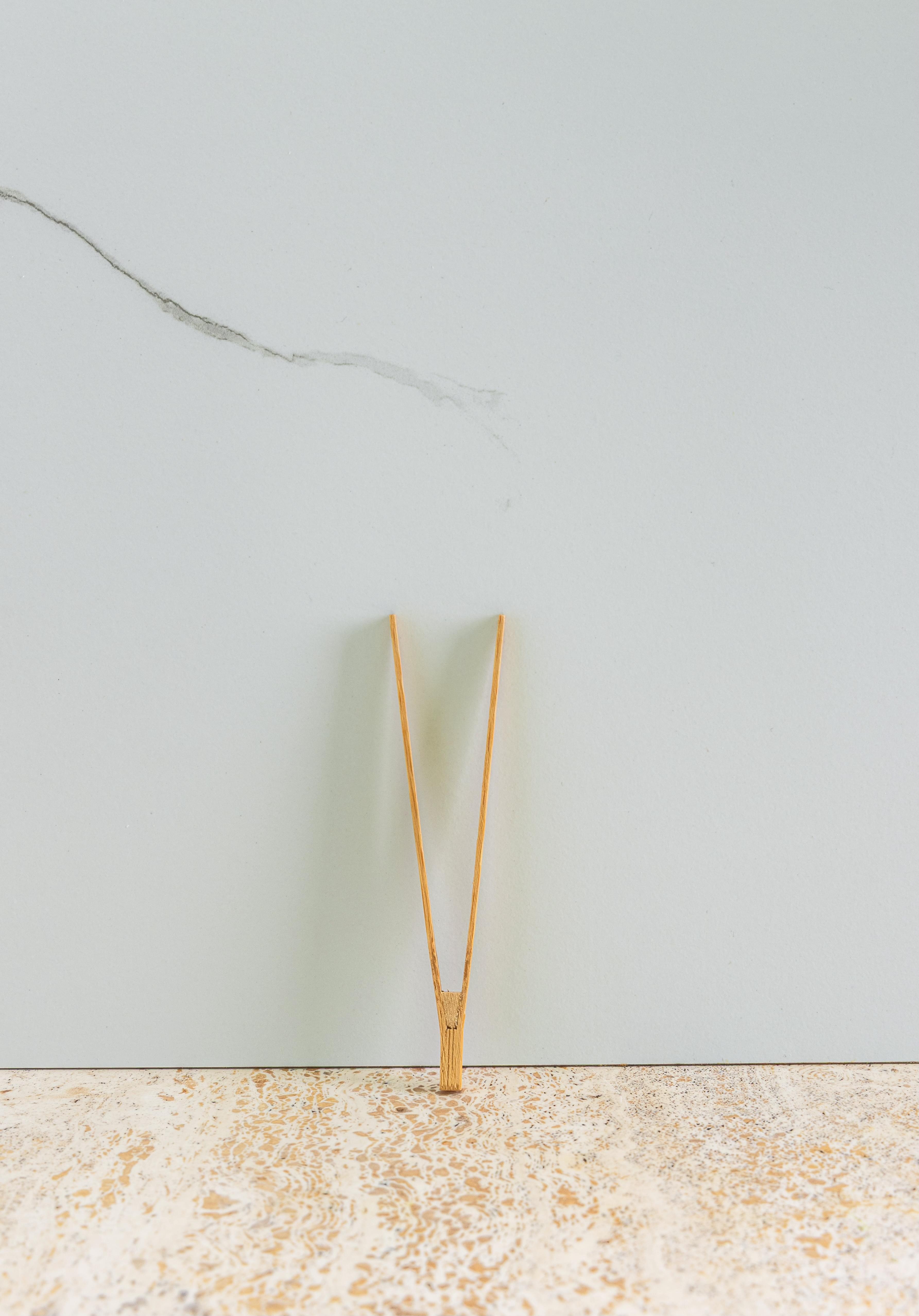 Disposable Tongs 