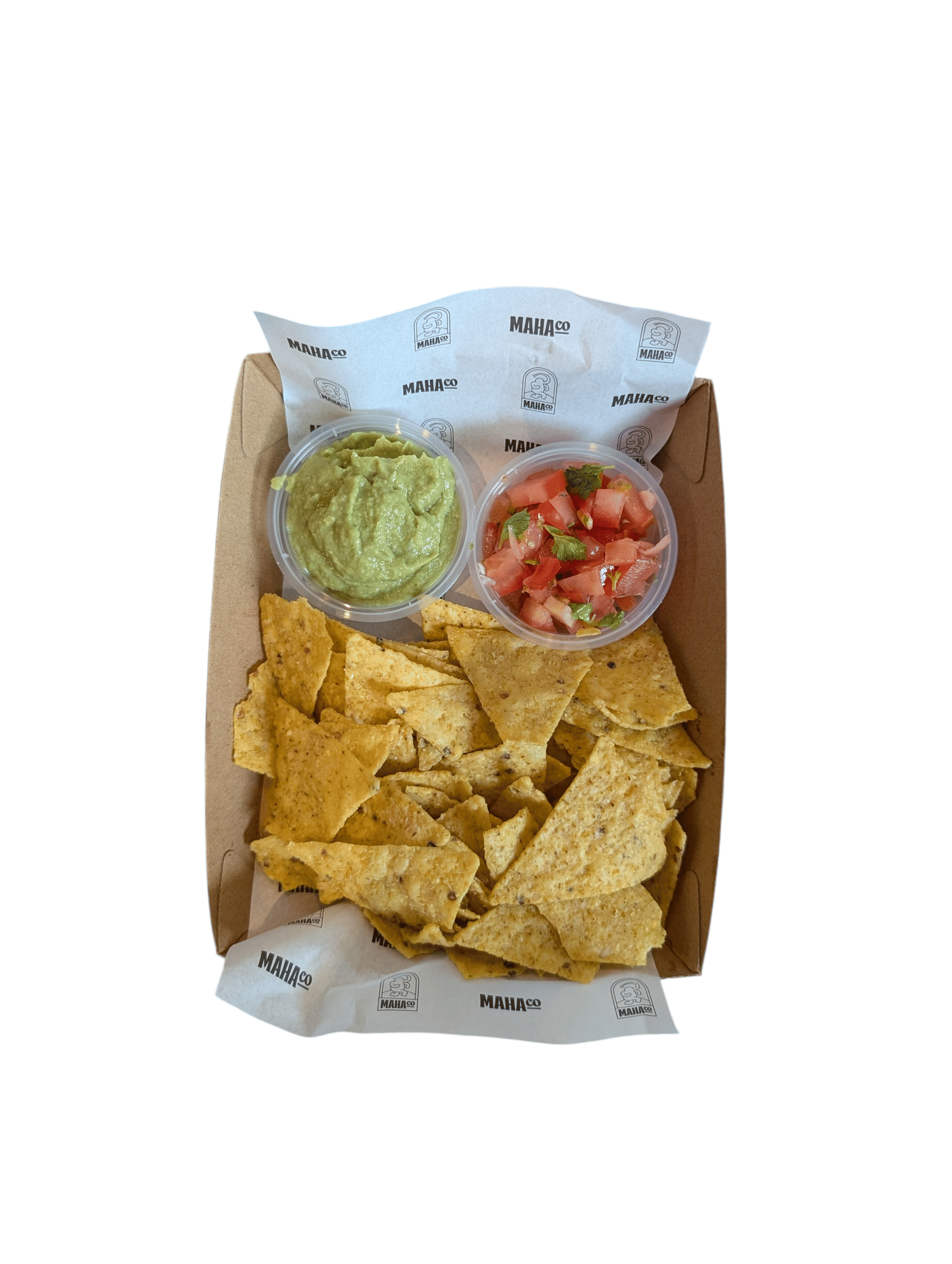 Nachos + Guacamole + Salsa