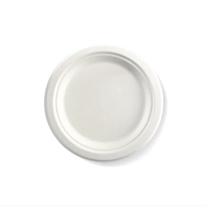 Sugarcane Disposable Plates