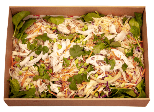 Vietnamese Chicken with Rice Noodles