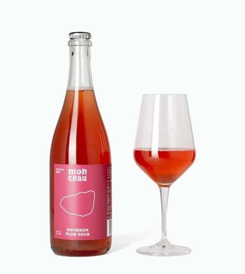 Edition 2022 Davidson Plum Kombucha