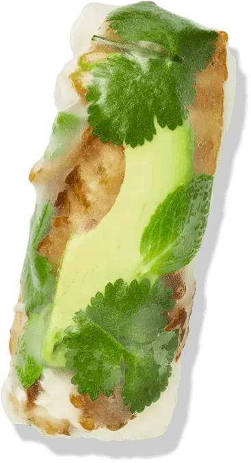 Soldiers - Rice Paper Rolls