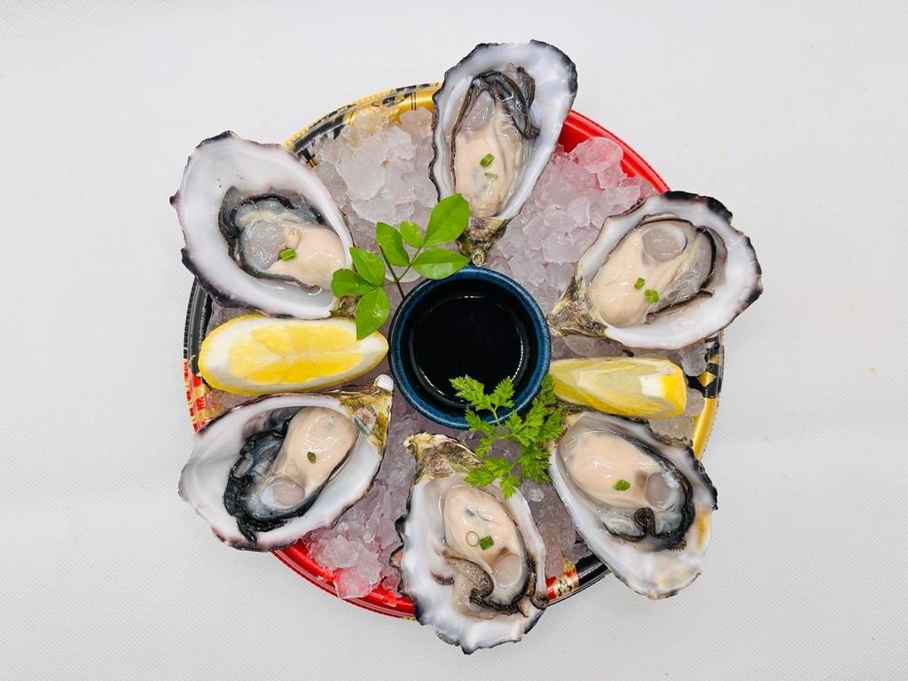 Fresh Oysters