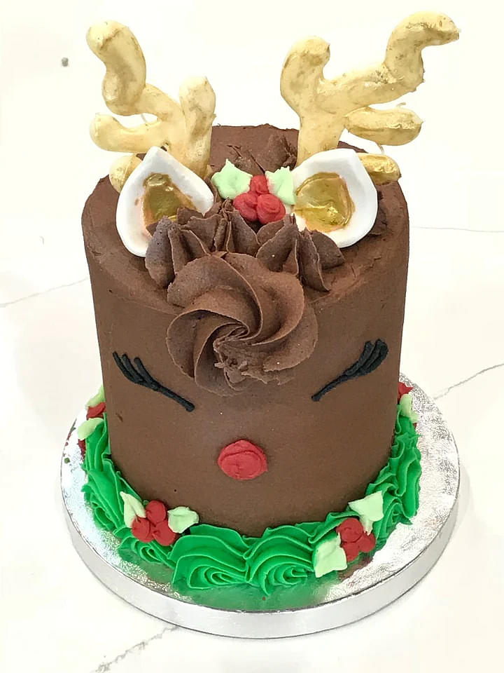 Christmas Reindeer Cake