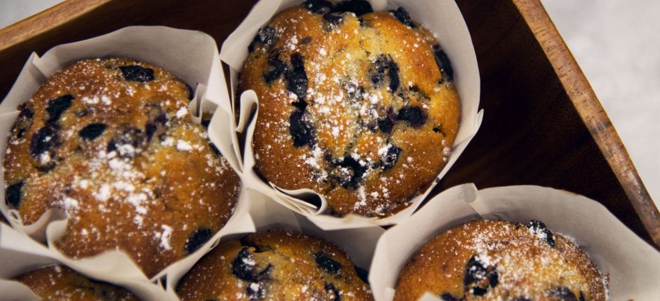 Blueberry Muffin