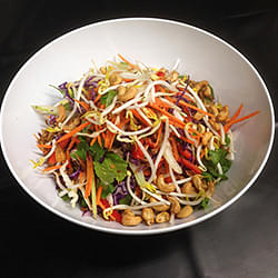 Asian Style Slaw Salad