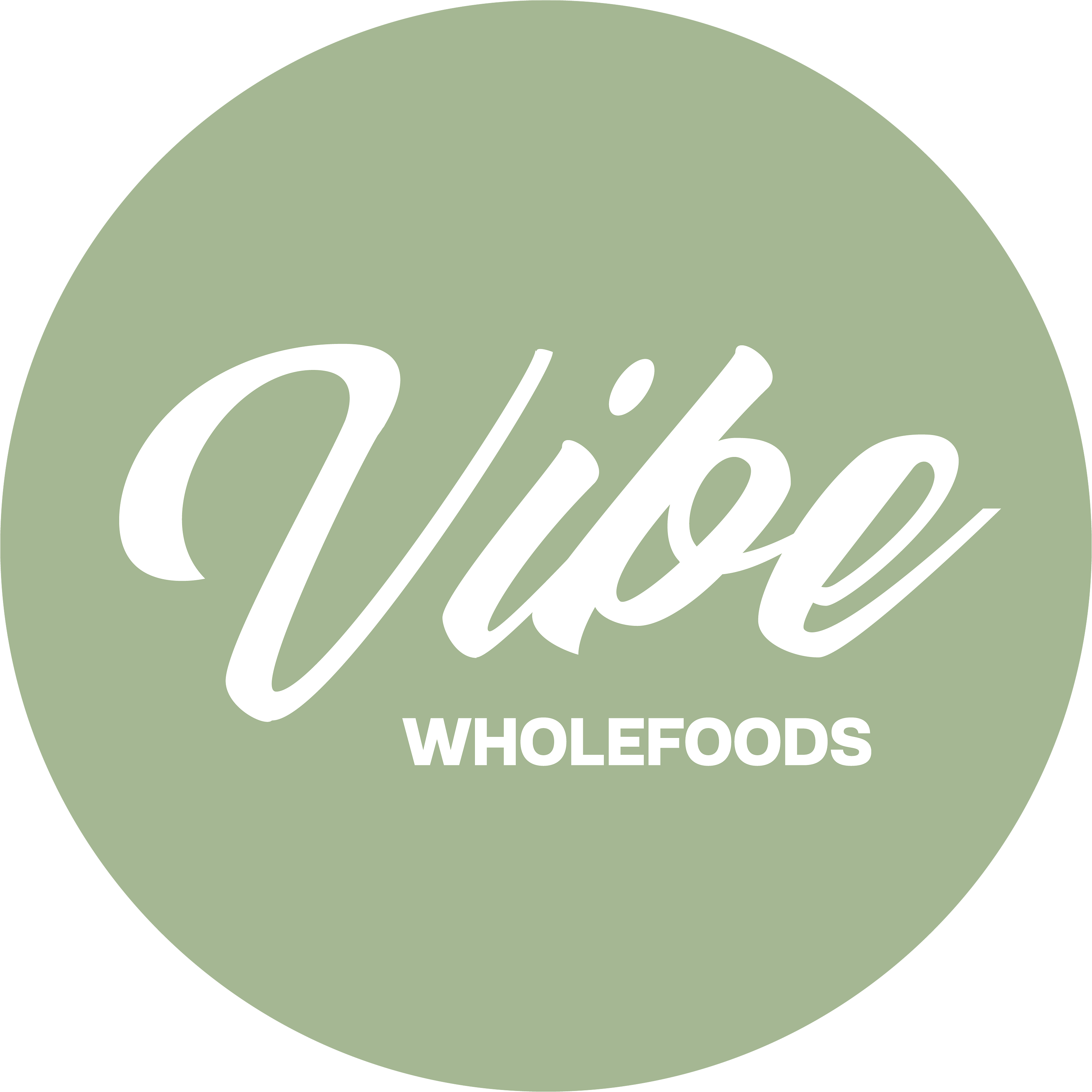 Logo for Vibe Wholefoods