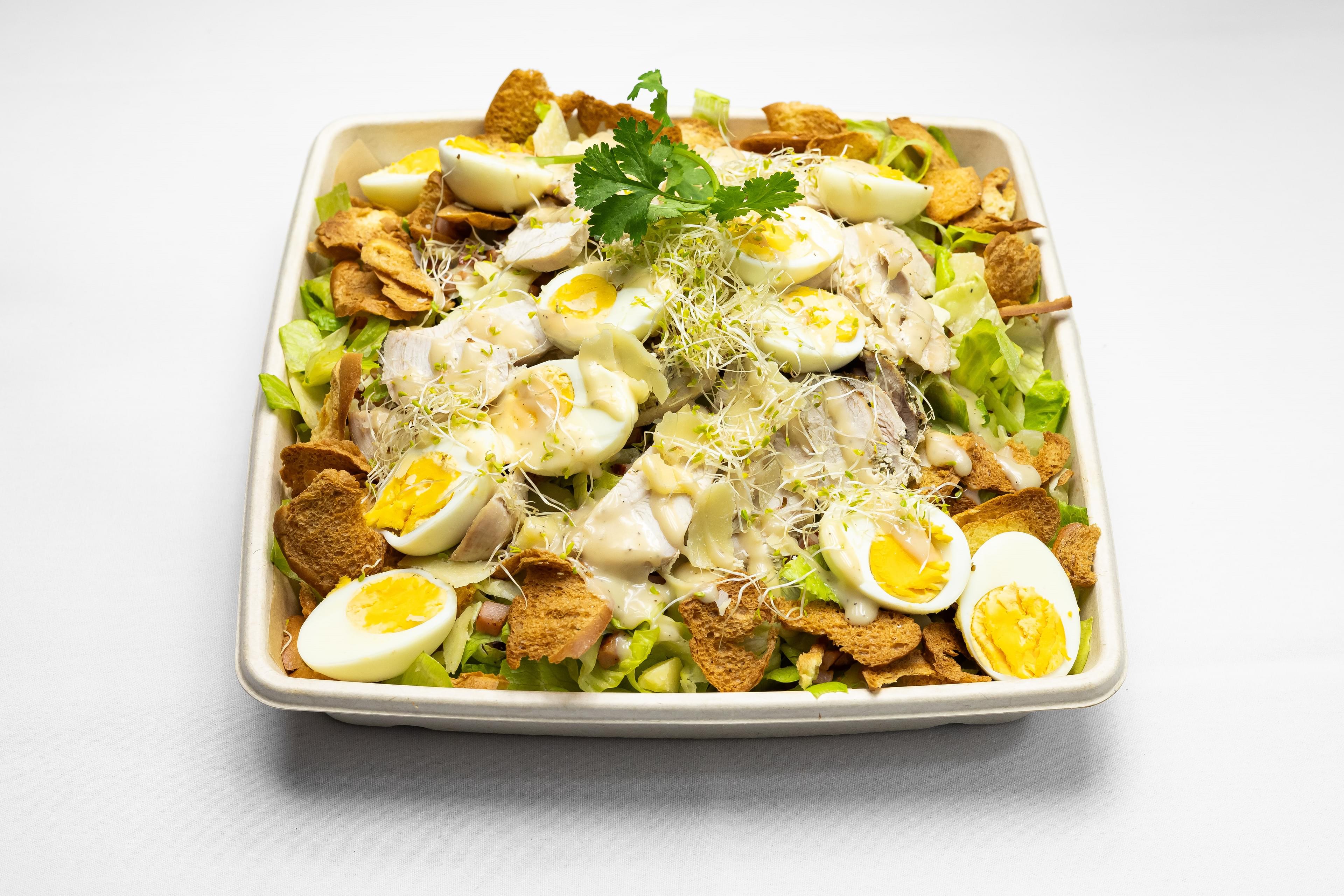 Chicken Caesar Salad