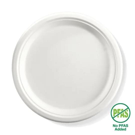 Bio Plate (Large)